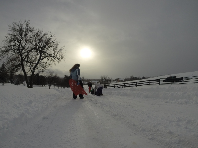 Snow day? Of course we went sledding!